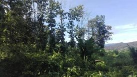 Land for sale in Mae Sap, Chiang Mai