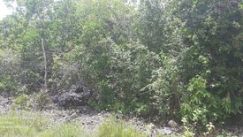 Land for sale in Bingag, Bohol