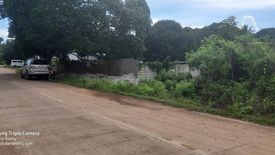 Land for sale in Danao, Bohol