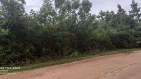 Land for sale in Danao, Bohol
