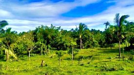 Land for sale in Luksuhin Ilaya, Cavite