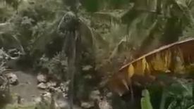 Tanah dijual dengan  di Batubulan, Bali