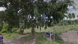 Land for sale in Calinan, Davao del Sur