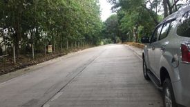 Land for sale in Mantalongon, Cebu