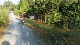 Land for sale in Binh Hoa, Binh Duong
