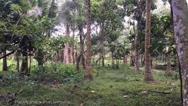 Land for sale in Agus-Us, Cavite