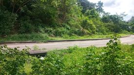 Land for sale in Pulangbato, Cebu