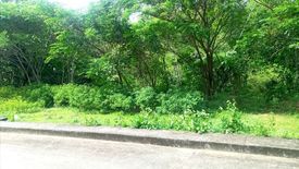 Land for sale in Pulangbato, Cebu