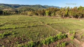 Land for sale in Mae Raem, Chiang Mai