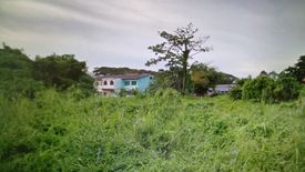 Land for sale in Lorong Telok Gadong, Selangor