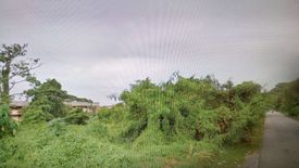 Land for sale in Lorong Telok Gadong, Selangor