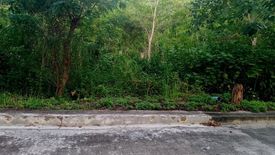 Land for sale in San Roque, Cebu