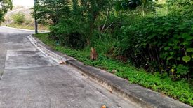 Land for sale in San Roque, Cebu