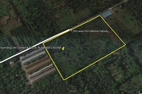 Land for sale in Del Carmen, Laguna