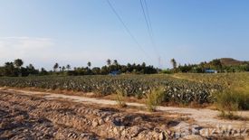 Land for sale in Wang Phong, Prachuap Khiri Khan