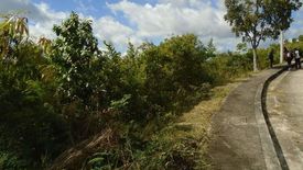 Land for sale in Dumlog, Cebu