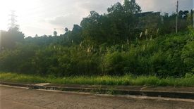 Land for sale in Bulacao, Cebu