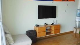 Cho thuê căn hộ chung cư 1 phòng ngủ tại Đằng Giang, Quận Ngô Quyền, Hải Phòng