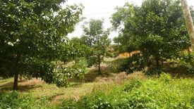 Land for sale in Chamai, Nakhon Si Thammarat