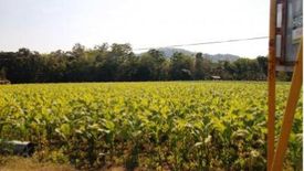 Land for sale in Calungbuyan, La Union