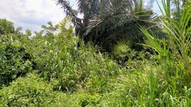 Land for sale in Malabag, Cavite