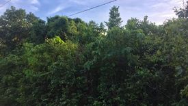 Land for sale in Bingag, Bohol