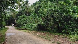 Land for sale in Cambayog, Cebu