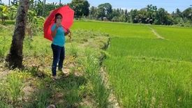 Land for sale in Matab-Ang, Cebu