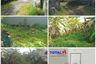 Tanah dijual dengan  di Abianbase, Bali
