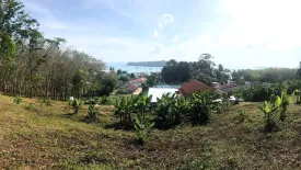 Land for sale in Pa Khlok, Phuket