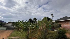 Land for sale in Talat Nuea, Phuket