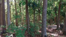 Land for sale in Bongoyan, Cebu