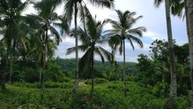 Land for sale in Bongoyan, Cebu