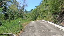 Land for sale in Mae Nam, Surat Thani