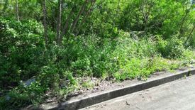 Land for sale in San Roque, Cebu