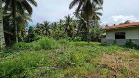 Land for sale in Tawan-Tawan, Davao del Sur