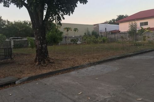 Land for sale in Sapalibutad, Pampanga
