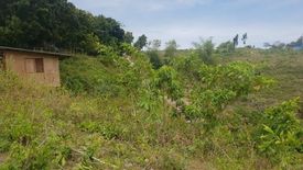 Land for sale in Tolotolo, Cebu