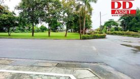 Land for sale in Pong Phrae, Chiang Rai