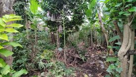 Tanah dijual dengan  di Batubulan, Bali