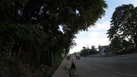 Land for sale in Dao, Bohol