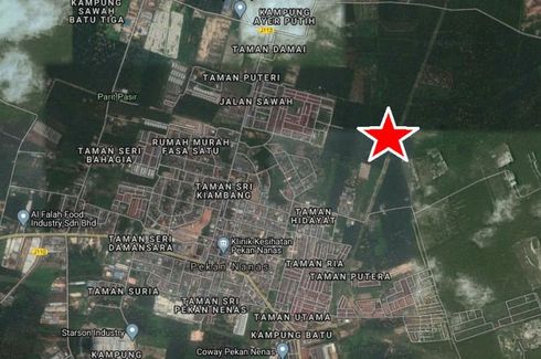 Land for sale in Pekan Nenas, Johor