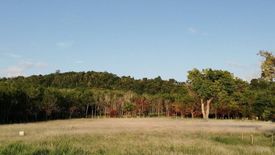 Land for sale in Sakhu, Phuket