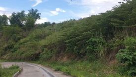 Land for sale in San Roque, Cebu