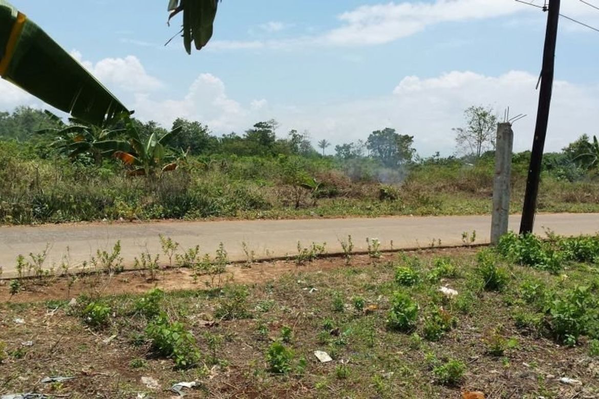 Sta Rosa Lot for sale Olango Island LapuLapu City 📌 Land for sale in