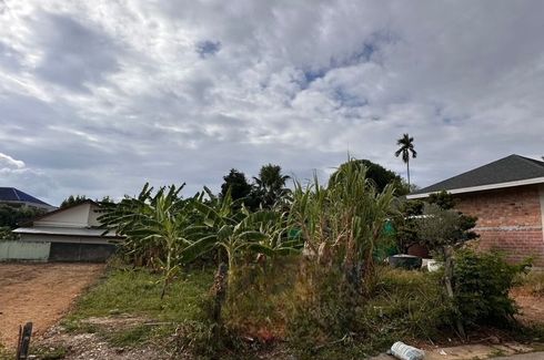 Land for sale in Talat Nuea, Phuket