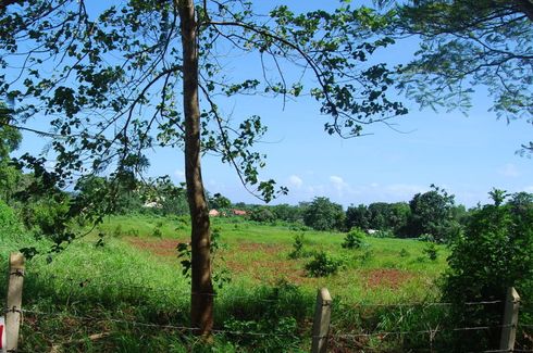 Land for sale in Inagawan Sub-Colony, Palawan