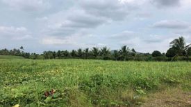 Land for sale in Mantibugao, Bukidnon