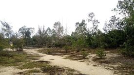 Land for sale in Binh Minh, Quang Nam