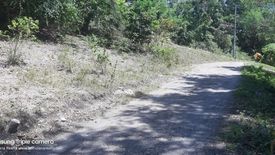 Land for sale in Booy, Bohol